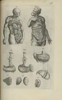 An illustration from Toutes les Oeuvres...trad. par Théophile Gelée (1613)