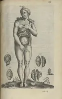 Picture 18 of 45 from Toutes les Oeuvres...trad. par Théophile Gelée (1613), leaf 342