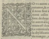An illustration from Toutes les Oeuvres...trad. par Théophile Gelée (1613)