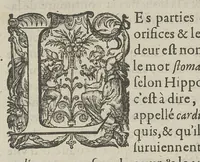 An illustration from Toutes les Oeuvres...trad. par Théophile Gelée (1613)