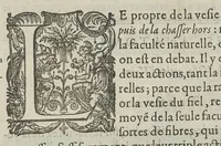 An illustration from Toutes les Oeuvres...trad. par Théophile Gelée (1613)