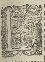 An illustration from Toutes les Oeuvres...trad. par Théophile Gelée (1613)