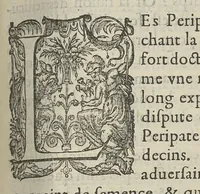An illustration from Toutes les Oeuvres...trad. par Théophile Gelée (1613)
