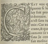 An illustration from Toutes les Oeuvres...trad. par Théophile Gelée (1613)