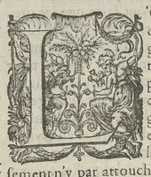 Picture 32 of 45 from Toutes les Oeuvres...trad. par Théophile Gelée (1613), leaf 745