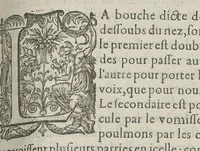 An illustration from Toutes les Oeuvres...trad. par Théophile Gelée (1613)