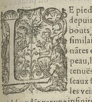 Picture 35 of 45 from Toutes les Oeuvres...trad. par Théophile Gelée (1613), leaf 792