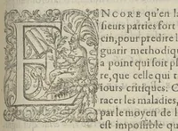 An illustration from Toutes les Oeuvres...trad. par Théophile Gelée (1613)