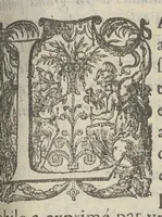 An illustration from Toutes les Oeuvres...trad. par Théophile Gelée (1613)