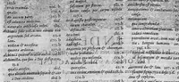 An illustration from Opera omnia medico-chemico-chirurgica... Editio novissima et emendatissima... Tomes I et II (1658)