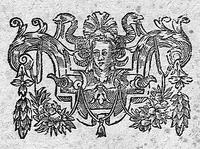 An illustration from Opera omnia medico-chemico-chirurgica... Editio novissima et emendatissima... Tomes I et II (1658)