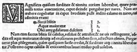 An illustration from Ioannis Baptistae Montani veronensis. Medici per universam europam celeberrimi, et in clarissima patavina Academiea summa cum laude publici olim ac ordinarij professoris consilia medica omnia, quae ullibi extant (1559)