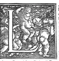 An illustration from Ioannis Baptistae Montani veronensis. Medici et publici in Academia patavina olim professoris. De febribus consilia omnia (1559)