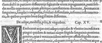 An illustration from Medicina (1554)