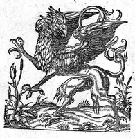 An illustration from Observationum medicinalium libri sex (1573)