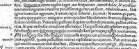 An illustration from Caelii Aureliani siccensis tardarum passionum libri V / Oribasii euporiston libri III, medicinae compendium liber I, curationum liber I, trochiscorum confect liber I (1529)