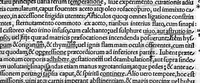 An illustration from Caelii Aureliani siccensis tardarum passionum libri V / Oribasii euporiston libri III, medicinae compendium liber I, curationum liber I, trochiscorum confect liber I (1529)