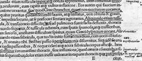 An illustration from Caelii Aureliani siccensis tardarum passionum libri V / Oribasii euporiston libri III, medicinae compendium liber I, curationum liber I, trochiscorum confect liber I (1529)