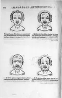 Picture 67 of 67 from Metoposcopia liber tredecim, et octingentis faciei humanae eiconibus complexa : cui accessit melampodis de naevis corporis tractatus, graece et latine nunc primum editus (1658), leaf 229