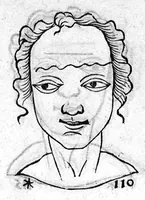 An illustration from Metoposcopia liber tredecim, et octingentis faciei humanae eiconibus complexa : cui accessit melampodis de naevis corporis tractatus, graece et latine nunc primum editus (1658)
