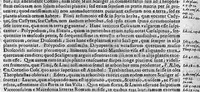 An illustration from De spontaneo viventium ortu (1618)