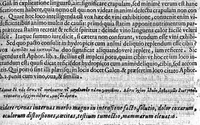 An illustration from Hieronymi Mercurali ... In secundum lib[rum] Epid[emiorum] Hipp[ocratis] praelectiones Bononienses (1626)
