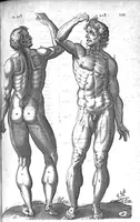 An illustration from Historia anatomica humani corporis et singularum ejus partium multis controversiis et observationibus novis (1627)