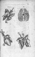 An illustration from Historia anatomica humani corporis et singularum ejus partium multis controversiis et observationibus novis (1627)