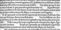 An illustration from Marcelli viri illustris de Medicamentis empiricis, physicis, ac rationabilibus Liber, ante mille ac ducentos plus minus annos scriptus, jam primum in lucem emergens, et suae integritati plersique locis restitutus, Per Janum Cornarium Medicum, Physicum Northusenem (1536)