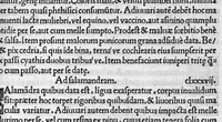 An illustration from Scribonii Largi de Compositionibus medicamentorum Liber unus, antehac nusquam excusus : Joanne Ruellio, doctore medico castigatore. (1528)