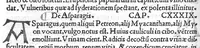 An illustration from Pedacii Dioscoridis Anazarbei de medicinali materia libri quinque De virulentis animalibus, et venenis canerabioso, et corum notis, ac remediis libri quattuor. Joanne Ruellio Suessionensi interprete (1516)