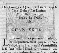 Picture 9 of 31 from Les six livres de Pedarion Dioscoride d’Anazarbe de la matiere medicale, translatez de Latin en François. A chacun Chapitre sont adjoustees certaines annotations fort doctes, et recueillies des plus excellens Medecins, anciens et modernes (1553), leaf 102