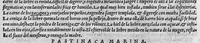 An illustration from Pedacio Dioscorides Anazarbeo, acerca de la materia medicinal, y de los venenos mortiferos, traduzido de lengua griega en la vulgar castellana illustrado y con claras y substantiales annotationes, y con las figuras de innumeras plantas exquisitas y raras por el doctor Andres de Laguna, Medico de Julio III, Pont. Maxi. (1563)