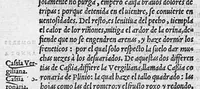 An illustration from Pedacio Dioscorides Anazarbeo, acerca de la materia medicinal, y de los venenos mortiferos, traduzido de lengua griega en la vulgar castellana illustrado y con claras y substantiales annotationes, y con las figuras de innumeras plantas exquisitas y raras por el doctor Andres de Laguna, Medico de Julio III, Pont. Maxi. (1563)