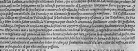 An illustration from Pedacio Dioscorides Anazarbeo, acerca de la materia medicinal, y de los venenos mortiferos, traduzido de lengua griega en la vulgar castellana illustrado y con claras y substantiales annotationes, y con las figuras de innumeras plantas exquisitas y raras por el doctor Andres de Laguna, Medico de Julio III, Pont. Maxi. (1563)