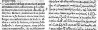An illustration from Iani Antonii Saraceni lugdunaei scholia in Dioscoridis de materia medica libros V. et eiusdem de Venenis Lib. II. / Pedacii Dioscoridis Anazarbei de facile parabilibus tam simplicibus quam compositis medicamentis, ad Andromanchum libri duo (1598)