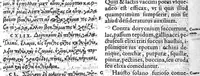 An illustration from Iani Antonii Saraceni lugdunaei scholia in Dioscoridis de materia medica libros V. et eiusdem de Venenis Lib. II. / Pedacii Dioscoridis Anazarbei de facile parabilibus tam simplicibus quam compositis medicamentis, ad Andromanchum libri duo (1598)