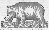 An illustration from Commentaires de M. Pierre André Matthiole medecin senois, sur les six livres de Ped. Dioscor. Anazarbeen de la matiere Medecinale, … (1579)