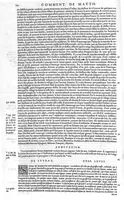 An illustration from Commentaires de M. Pierre Andre Matthiole medecin senois sur les six livres de Ped. Dioscoride Anazarbeen de la matiere medicale, Reveuz et augmentés en plus de mille lieux par l’autheur mesme, et enrichis pour la troisiéme fois, d’un grand nombre de pourtraits, de plantes et animaux tirés au vif, plus qu’aux precedentes editions. Avec certaines tables medecinales, tant des qualités et vertus des simples medicamens, que des remedes pour toutes maladies, qui peuvent avenir au corps humain, comme aussi les sentences, mots, et matieres traictees esdicts Commentaires : Davantage y a sur la fin, divers pourtraits de fourneaux et alembics, pour distiller et tirer les eaux de toutes plantes, avec le moyen de les conserver en leur naïves odeurs. Mis en François sur la derniere edition Latine de l’Autheur, par M. Jean des Moulins Docteur en Medecine (1572)