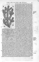 Picture 4 of 49 from Commentaires de M. Pierre Andre Matthiole medecin senois sur les six livres de Ped. Dioscoride Anazarbeen de la matiere medicale, Reveuz et augmentés en plus de mille lieux par l’autheur mesme, et enrichis pour la troisiéme fois, d’un grand nombre de pourtraits, de plantes et animaux tirés au vif, plus qu’aux precedentes editions. Avec certaines tables medecinales, tant des qualités et vertus des simples medicamens, que des remedes pour toutes maladies, qui peuvent avenir au corps humain, comme aussi les sentences, mots, et matieres traictees esdicts Commentaires : Davantage y a sur la fin, divers pourtraits de fourneaux et alembics, pour distiller et tirer les eaux de toutes plantes, avec le moyen de les conserver en leur naïves odeurs. Mis en François sur la derniere edition Latine de l’Autheur, par M. Jean des Moulins Docteur en Medecine (1572), leaf 217