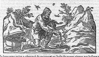An illustration from Commentaires de M. Pierre Andre Matthiole medecin senois sur les six livres de Ped. Dioscoride Anazarbeen de la matiere medicale, Reveuz et augmentés en plus de mille lieux par l’autheur mesme, et enrichis pour la troisiéme fois, d’un grand nombre de pourtraits, de plantes et animaux tirés au vif, plus qu’aux precedentes editions. Avec certaines tables medecinales, tant des qualités et vertus des simples medicamens, que des remedes pour toutes maladies, qui peuvent avenir au corps humain, comme aussi les sentences, mots, et matieres traictees esdicts Commentaires : Davantage y a sur la fin, divers pourtraits de fourneaux et alembics, pour distiller et tirer les eaux de toutes plantes, avec le moyen de les conserver en leur naïves odeurs. Mis en François sur la derniere edition Latine de l’Autheur, par M. Jean des Moulins Docteur en Medecine (1572)