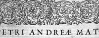 Picture 60 of 61 from Petri Andreae Matthioli,... Opera quae extant omnia, hoc est Commentarii in VI libros Pedacii Dioscoridis Anazarbei de medica materia, adjectis in margine variis graeci textus lectionibus... qui Dioscoridis depravatam lectionem restituunt, nunc a Casparo Bacchino,... post diversarum editionum collationem infinitis locis aucti, synonymiis quoque plantarum et notis illustrati ; adjectis plantarum iconibus... de ratione distillandi aquas ex omnibus plantis... Item, apologia in Amatum Lusitanum, cum censura in ejusdem enarrationes [necnon praefatione Francisci Parthini Roboretani]. Epistolarum medicinalium libri quinque ; Dialogus de morbo gallico... (1598), leaf 1389