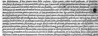 An illustration from Petri Andreae Matthioli,... Opera quae extant omnia, hoc est Commentarii in VI libros Pedacii Dioscoridis Anazarbei de medica materia, adjectis in margine variis graeci textus lectionibus... qui Dioscoridis depravatam lectionem restituunt, nunc a Casparo Bacchino,... post diversarum editionum collationem infinitis locis aucti, synonymiis quoque plantarum et notis illustrati ; adjectis plantarum iconibus... de ratione distillandi aquas ex omnibus plantis... Item, apologia in Amatum Lusitanum, cum censura in ejusdem enarrationes [necnon praefatione Francisci Parthini Roboretani]. Epistolarum medicinalium libri quinque ; Dialogus de morbo gallico... (1598)