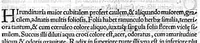 Picture 25 of 26 from Index Dioscoridis. En, candide lector, Historiales Dioscoridis campi, exegemataque simplicium, atque eorundem collationes cum his quae in officinis habentur... Joanne Roderico Castelli albi Lusitano auctore (1536), leaf 118