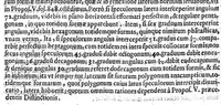 An illustration from Ars magna lvcis et vmbrae, in decem libros digesta. Qvibvs admirandae lvcis et vmbrae in mundo, atque adeò vniuersa natura, vires effectusq, vti noua, ita varia nouorum reconditiorumq, speciminum exhibitione, ad varios mortalium vsus, panduntur (1646)