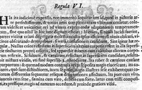 Picture 3 of 17 from Ars magna lvcis et vmbrae, in decem libros digesta. Qvibvs admirandae lvcis et vmbrae in mundo, atque adeò vniuersa natura, vires effectusq, vti noua, ita varia nouorum reconditiorumq, speciminum exhibitione, ad varios mortalium vsus, panduntur (1646), leaf 238