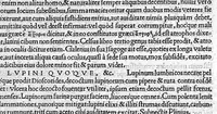 Picture 16 of 22 from In Omnes C. Plinii Secvndi Natvralis Historiæ Argvtissimi Scriptoris libros, Stephani Aquæi Bituricensis, viri Equestris, Commentaria (1530), leaf 624
