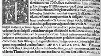 An illustration from In Omnes C. Plinii Secvndi Natvralis Historiæ Argvtissimi Scriptoris libros, Stephani Aquæi Bituricensis, viri Equestris, Commentaria (1530)