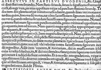 An illustration from In Omnes C. Plinii Secvndi Natvralis Historiæ Argvtissimi Scriptoris libros, Stephani Aquæi Bituricensis, viri Equestris, Commentaria (1530)