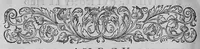 Picture 14 of 39 from L'histoire de la nature des oiseaux, avec leurs descriptions, et naïfs portraicts retirez du naturel, écrite en sept livres (1555), leaf 213